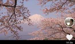 最近爆料视频在哪找的啊,最新爆料视频来源大起底！